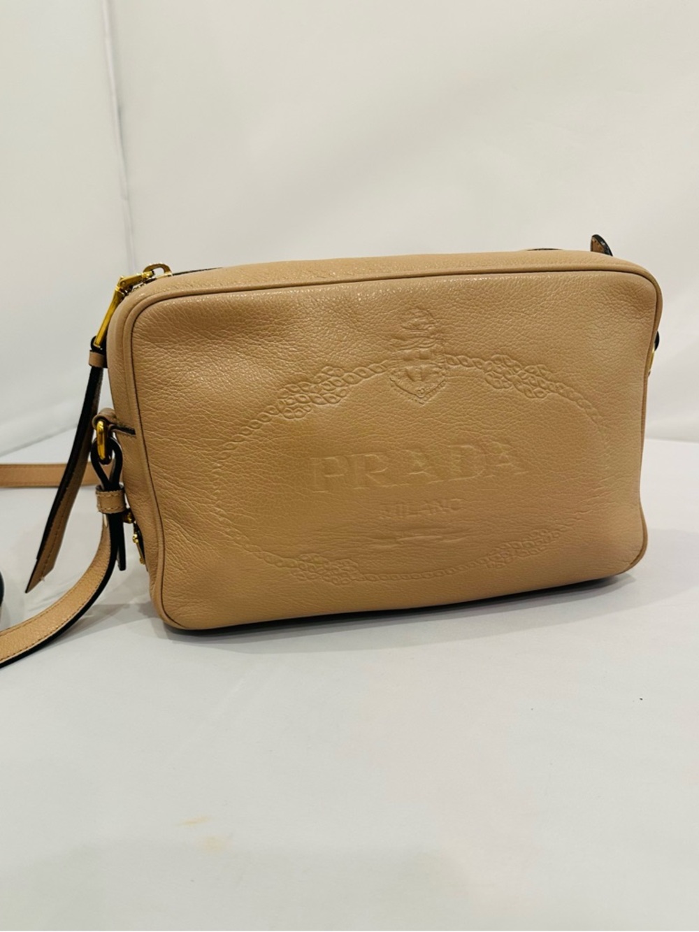 Prada Leather Embossed Camera Bag